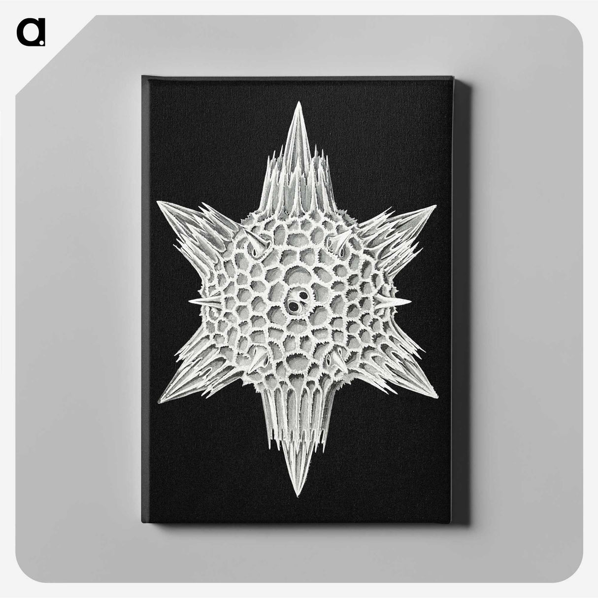 3-36_Ernst-Haeckel_canvas