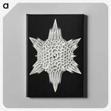 3-36_Ernst-Haeckel_canvas
