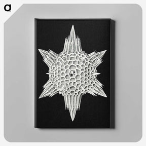 3-36_Ernst-Haeckel_canvas