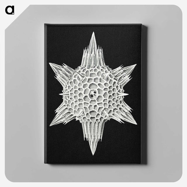 3-36_Ernst-Haeckel_canvas