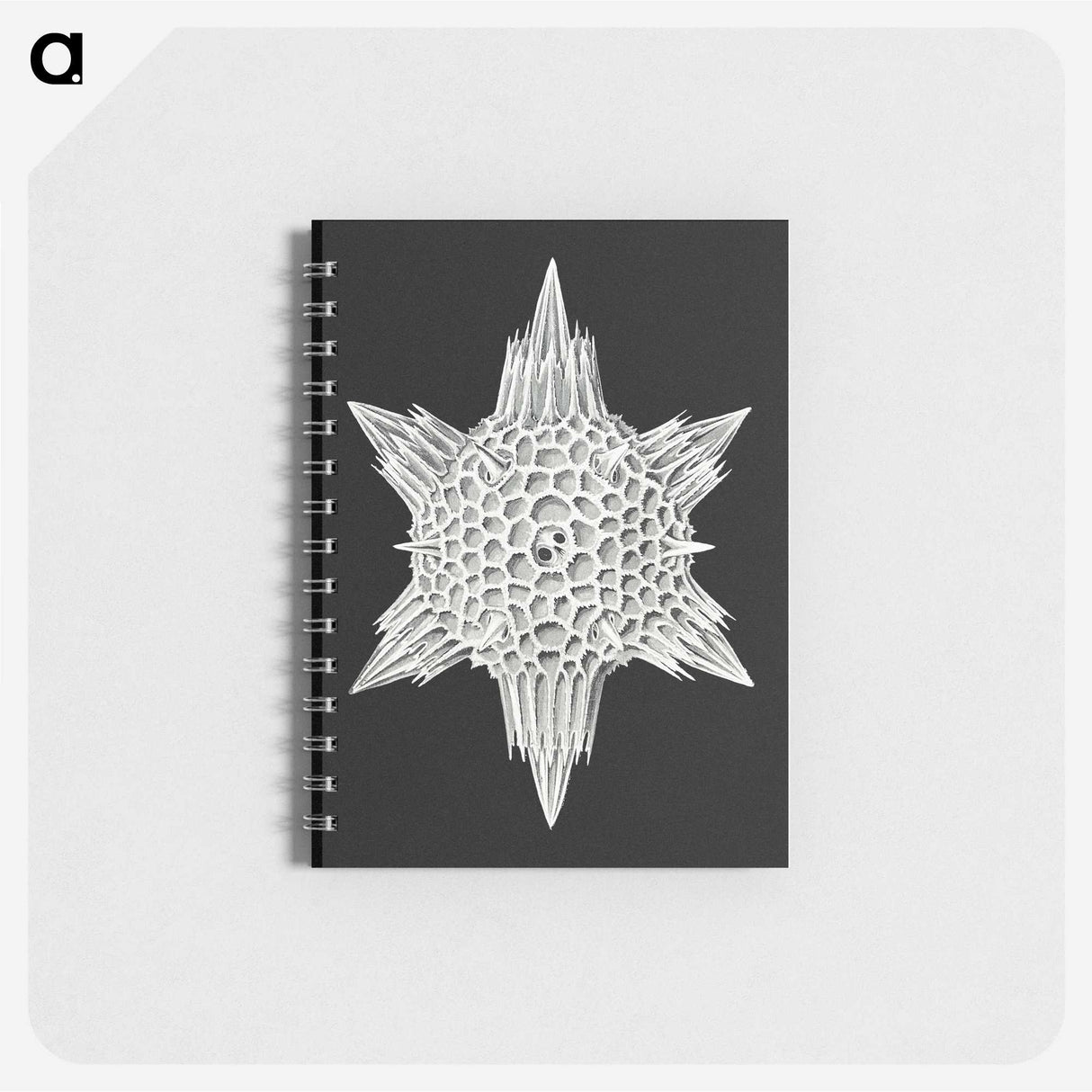 3-36_Ernst-Haeckel_memo