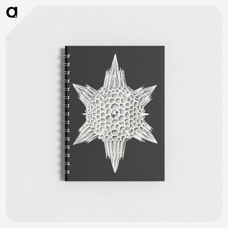 3-36_Ernst-Haeckel_memo
