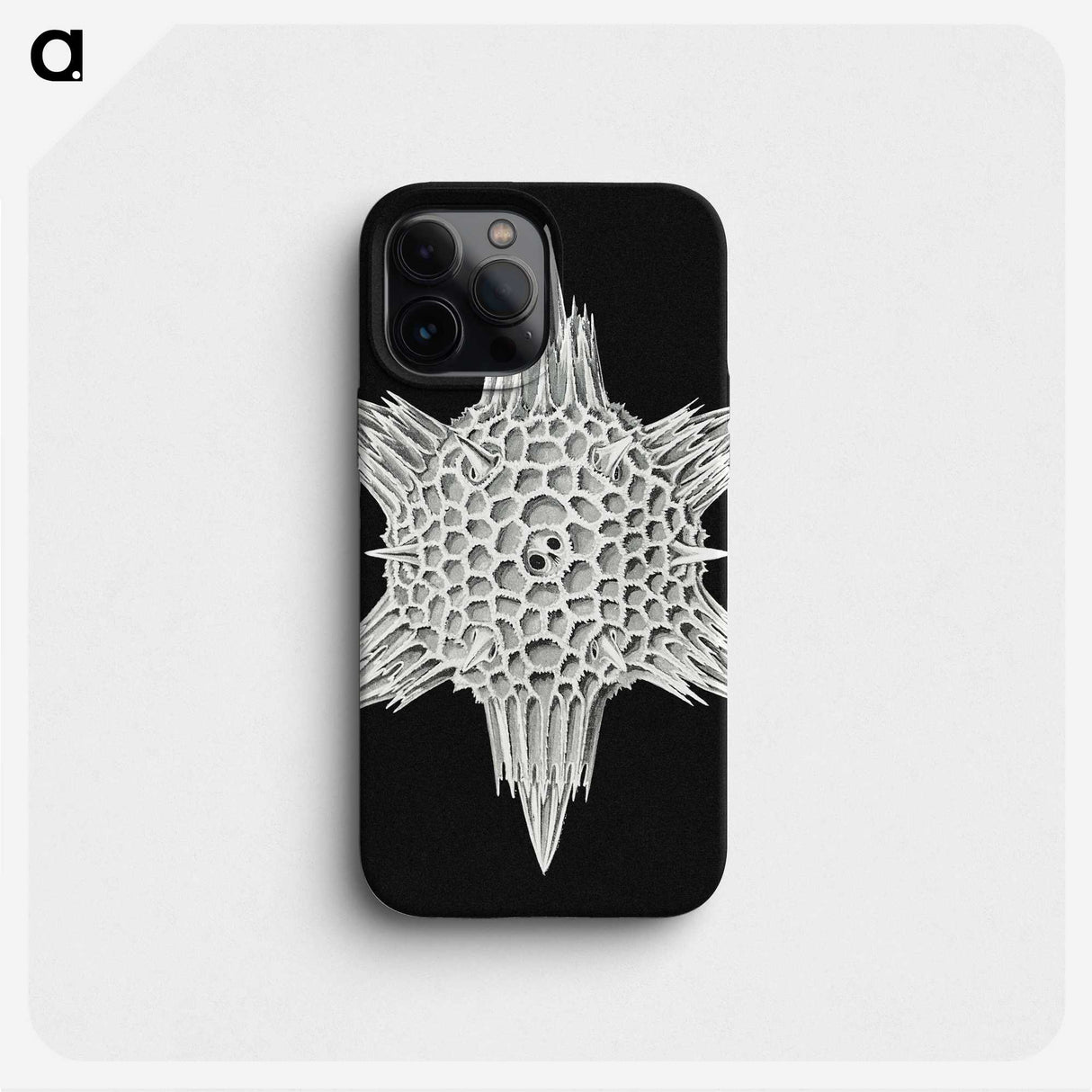 3-36_Ernst-Haeckel_phone