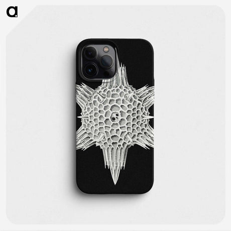 3-36_Ernst-Haeckel_phone