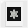 3-36_Ernst-Haeckel_picture