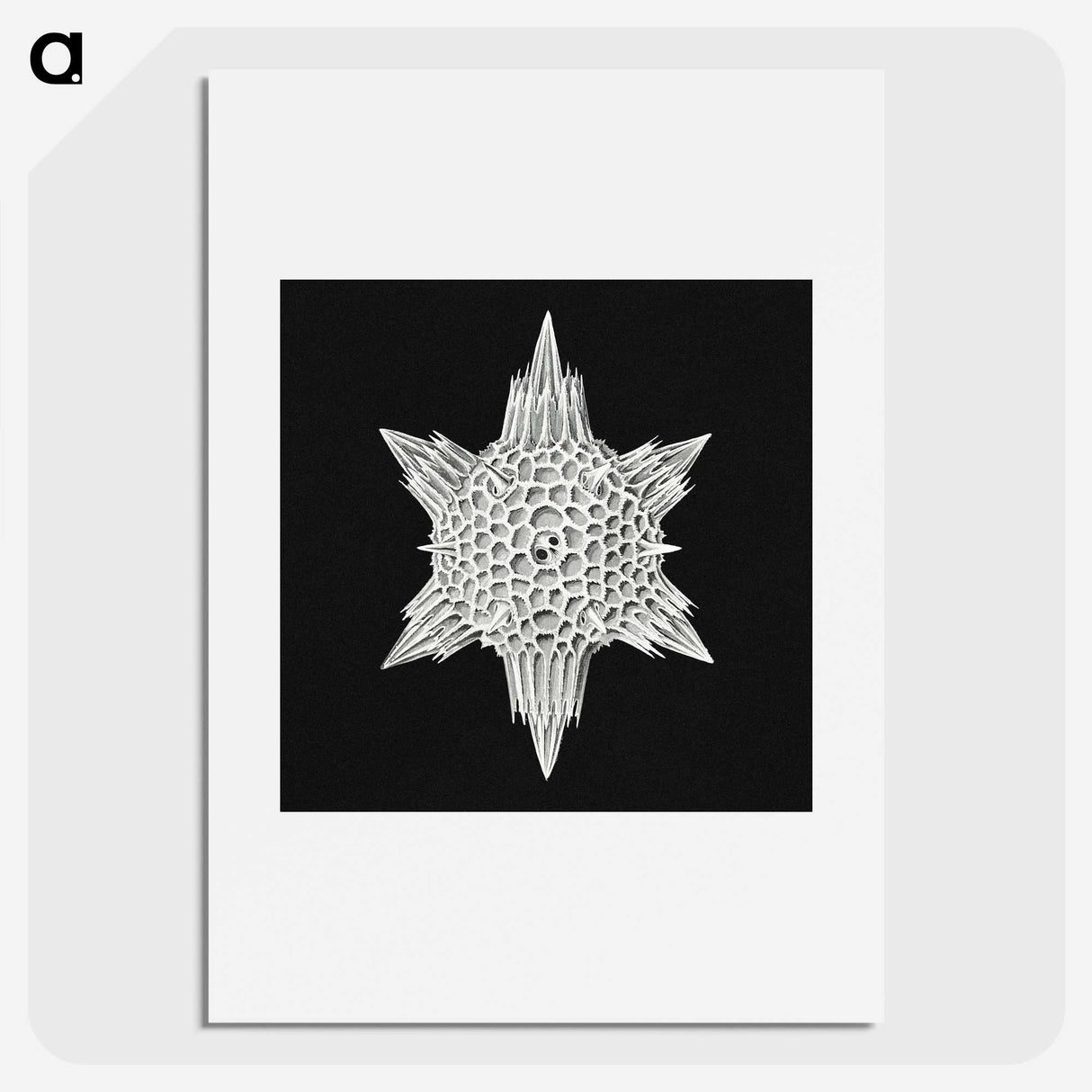 3-36_Ernst-Haeckel_picture