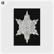 3-36_Ernst-Haeckel_postcard