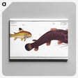 3-36_Ichtyologie-ou-Histoire-naturelle_canvas