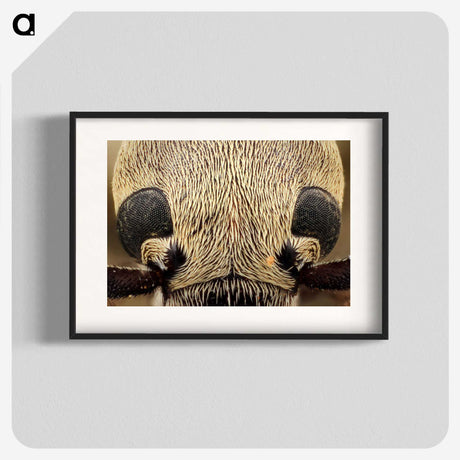 3-36_Insects-Unlocked-Project_blk
