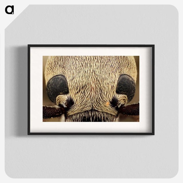 3-36_Insects-Unlocked-Project_blk