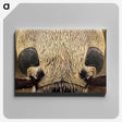 3-36_Insects-Unlocked-Project_canvas