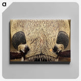 3-36_Insects-Unlocked-Project_canvas