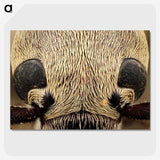 3-36_Insects-Unlocked-Project_picture-crop