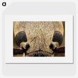 3-36_Insects-Unlocked-Project_picture