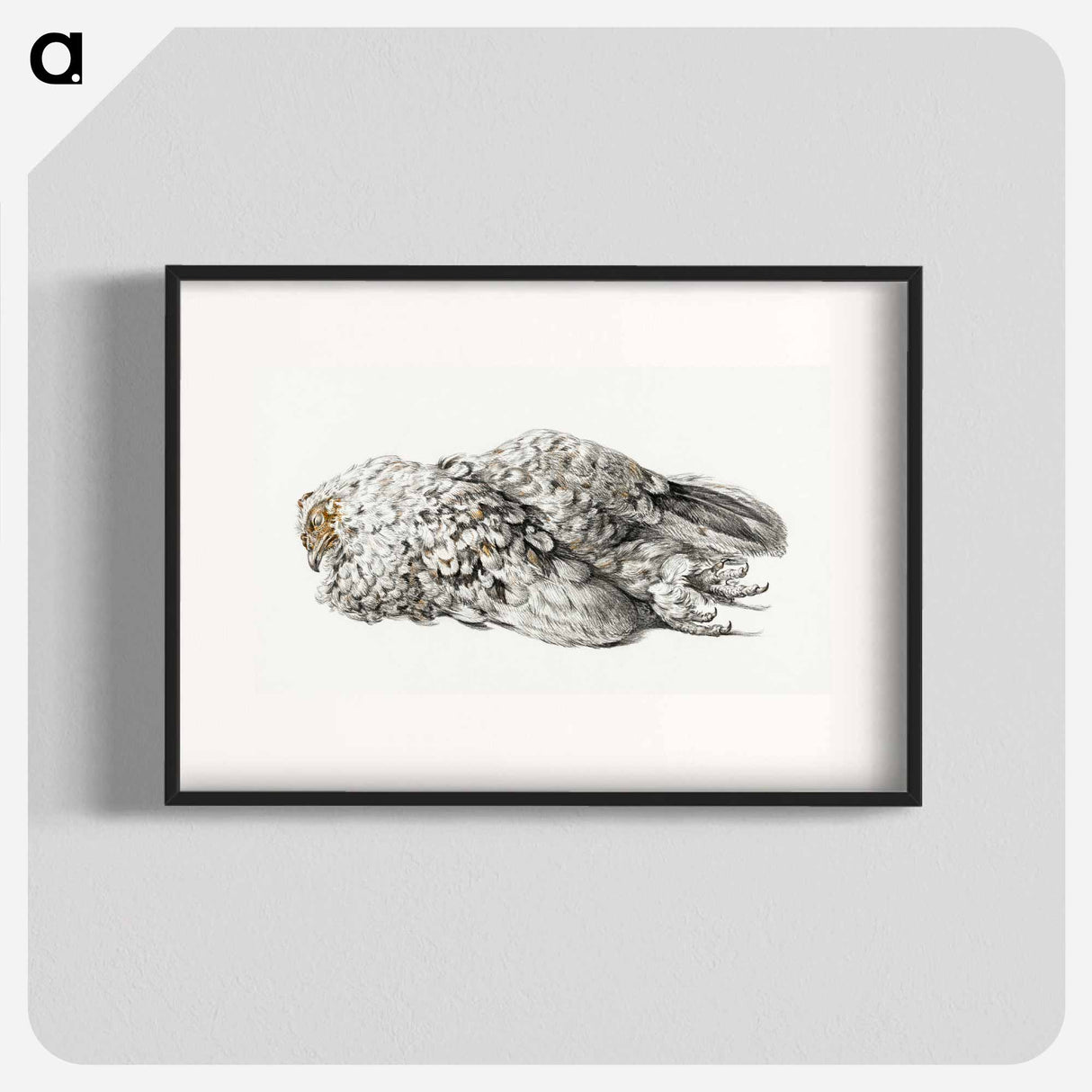 A dead chicken - Jean Bernard Poster.