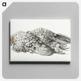 3-36_Jean-Bernard_canvas