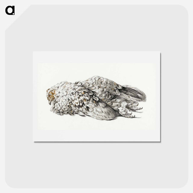 アートポストカード-A dead chicken - ジャン ベルナール Postcard.