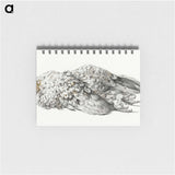 3-36_Jean-Bernard_memo