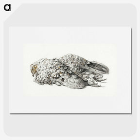 3-36_Jean-Bernard_picture