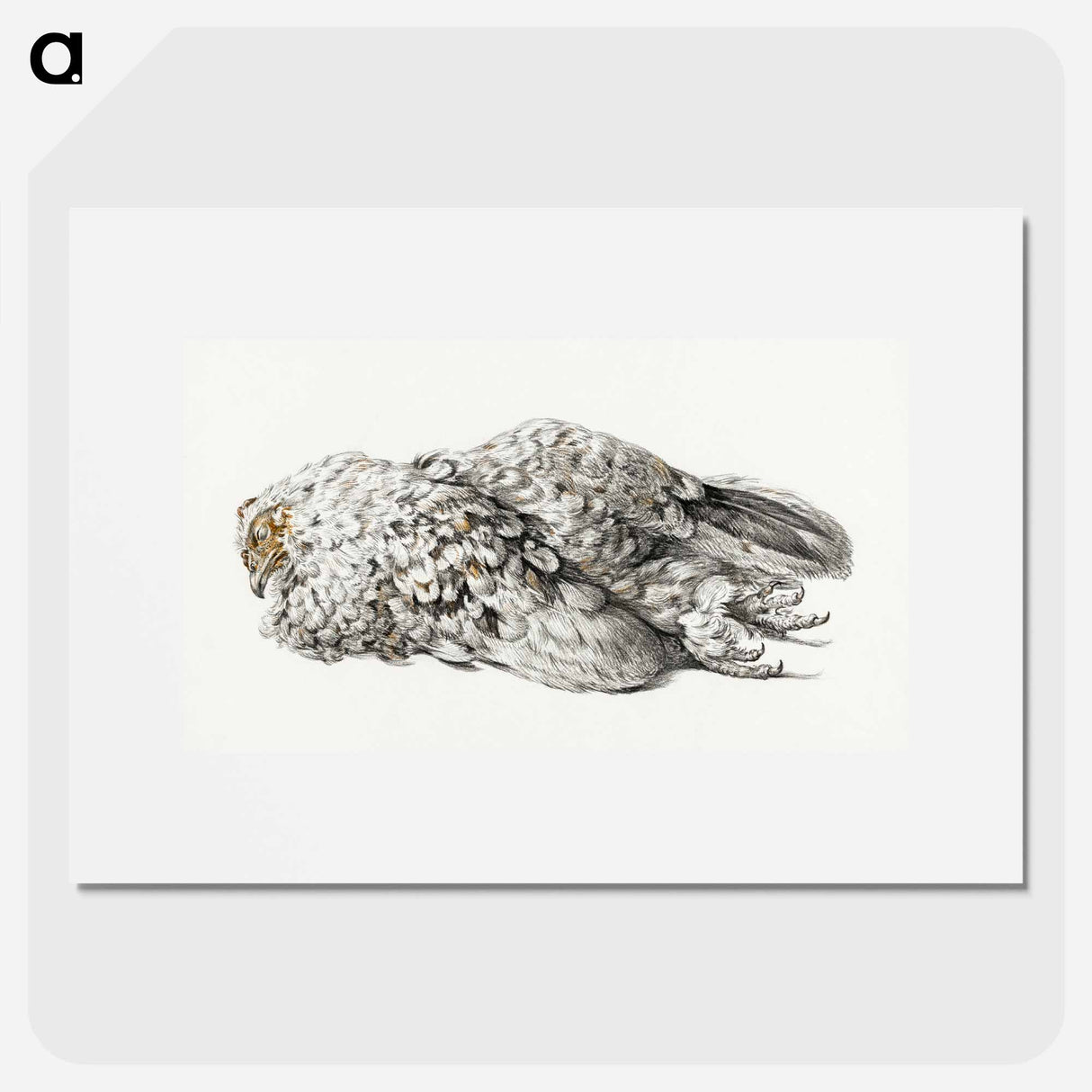 A dead chicken - Jean Bernard Poster.
