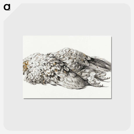 アートポストカード-A dead chicken - ジャン ベルナール Postcard.