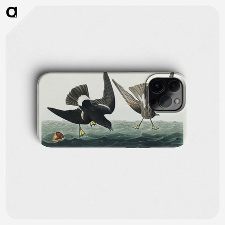 3-36_John-James-Audubon_phone