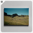 3-36_Leslie-Adkin_canvas