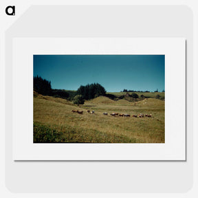 3-36_Leslie-Adkin_picture