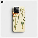 3-36_Maria-Sibylla-Merian_phone