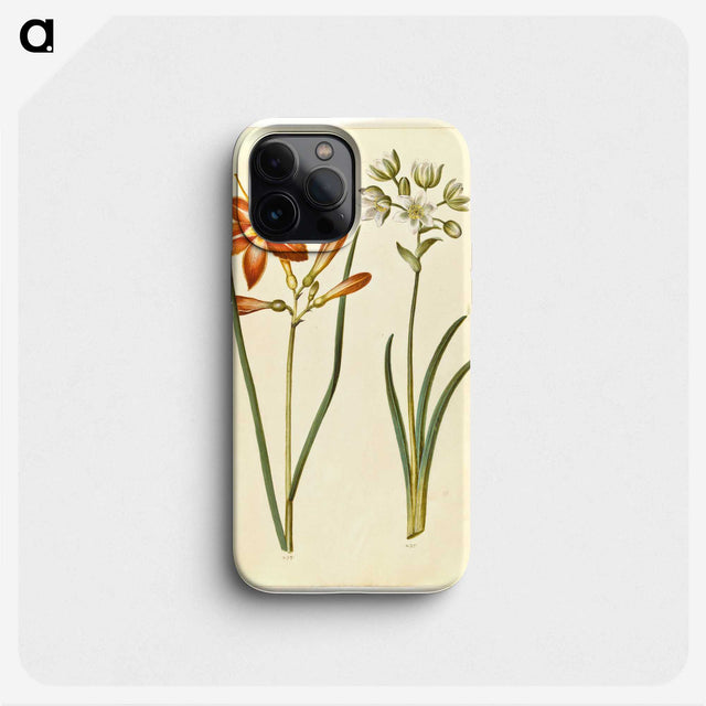 3-36_Maria-Sibylla-Merian_phone