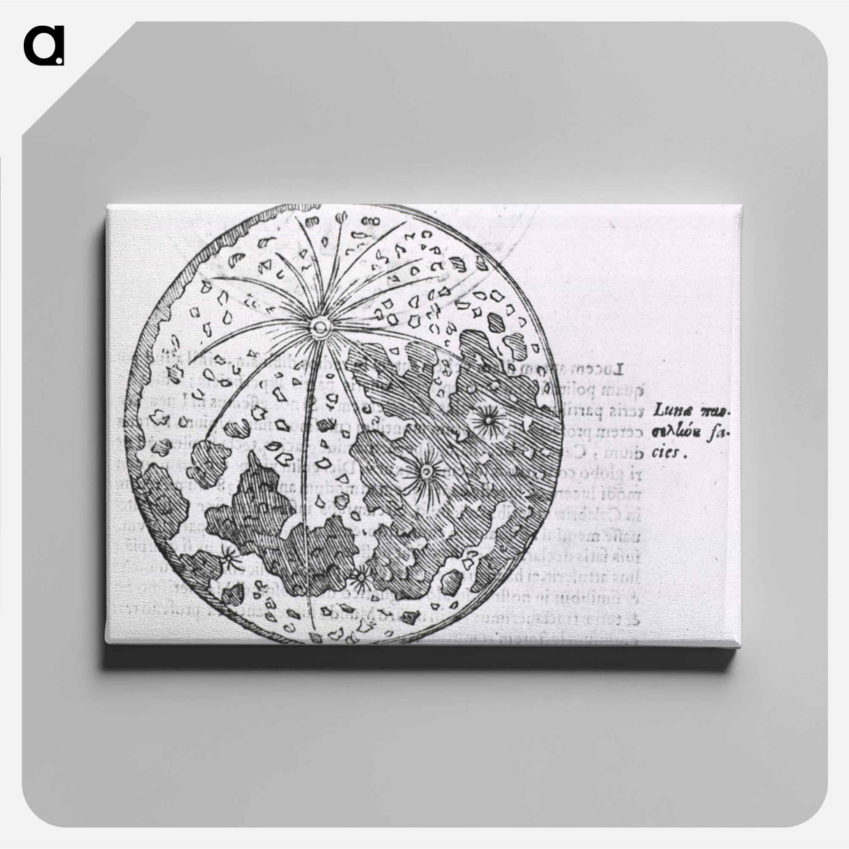 アートパネル-Lunar Surface Depiction
 - 国立医学図書館 Canvas.