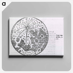 アートパネル-Lunar Surface Depiction
 - 国立医学図書館 Canvas.