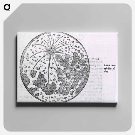 アートパネル-Lunar Surface Depiction
 - 国立医学図書館 Canvas.