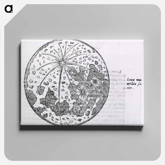 アートパネル-Lunar Surface Depiction
 - 国立医学図書館 Canvas.