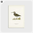 3-36_Svenska-Faglar_postcard