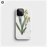 3-36_The-Lilies_phone
