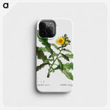 3-36_Treatise-on-Trees-and-Shrubs_phone