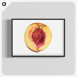 3-36_USDA-Watercolor-Fruit-Painting-Collection_blk-crop