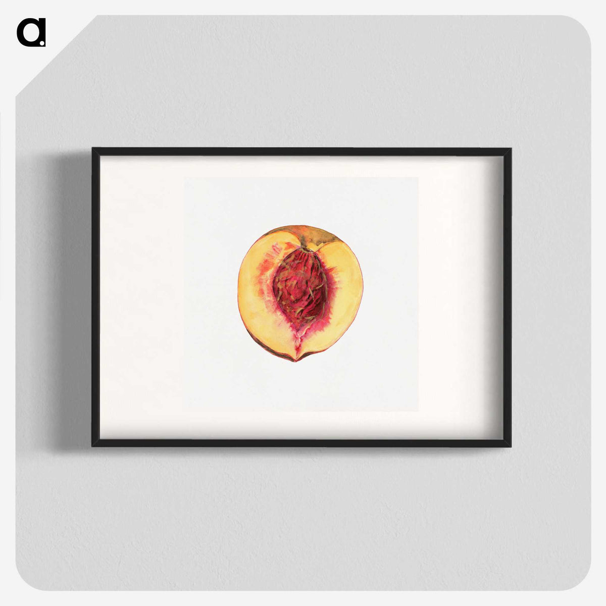 3-36_USDA-Watercolor-Fruit-Painting-Collection_blk