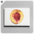 3-36_USDA-Watercolor-Fruit-Painting-Collection_canvas