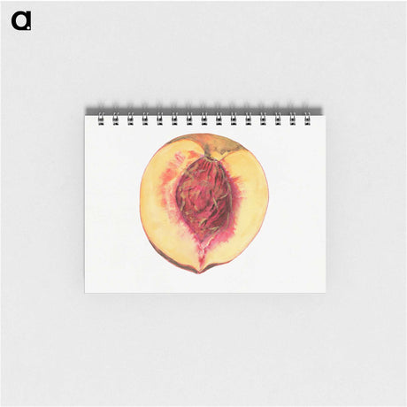 3-36_USDA-Watercolor-Fruit-Painting-Collection_memo
