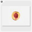 3-36_USDA-Watercolor-Fruit-Painting-Collection_picture