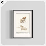 Two dogs - アンセルムス ボエティウス デ ブート Poster.