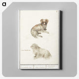 3-37_Anselmus-Boetius-de-Boodt_canvas