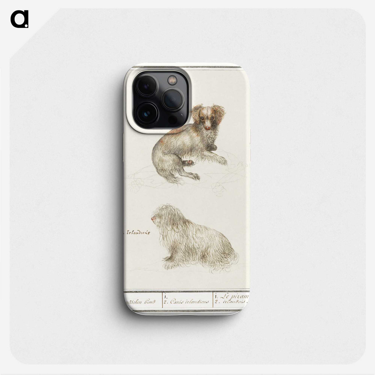 3-37_Anselmus-Boetius-de-Boodt_phone