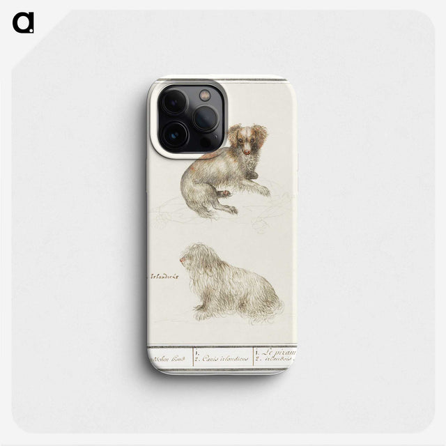 3-37_Anselmus-Boetius-de-Boodt_phone