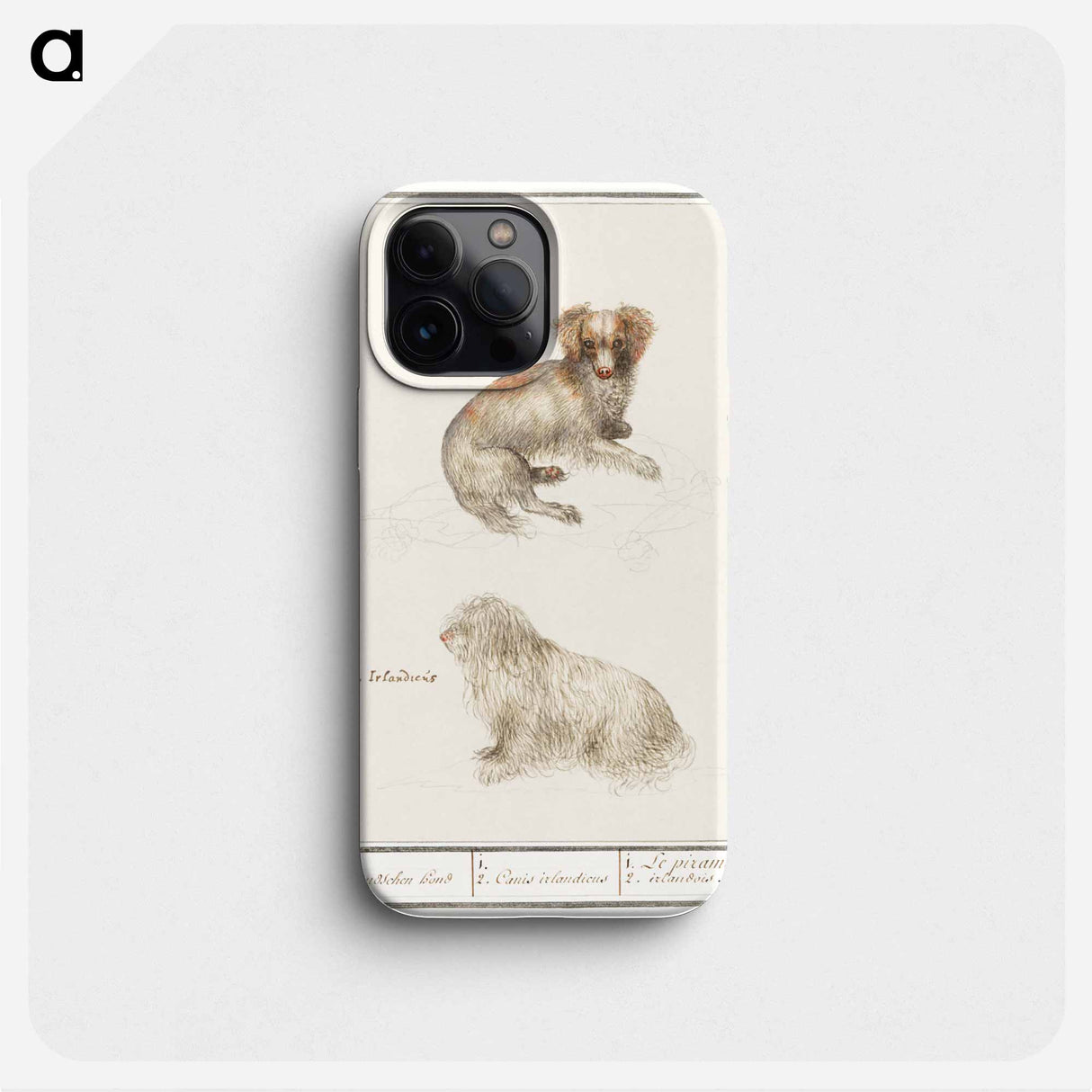 Two dogs - アンセルムス ボエティウス デ ブート Phone Case.