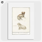 3-37_Anselmus-Boetius-de-Boodt_picture