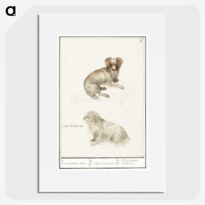 3-37_Anselmus-Boetius-de-Boodt_picture