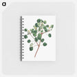 アートメモ帳-Euphorbia Petiolaris
 - クリーブランド美術館 Memo.